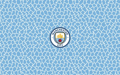 熊猫体育热评-佩德里绝杀后疯狂庆祝