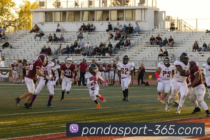 熊猫体育365服务体系